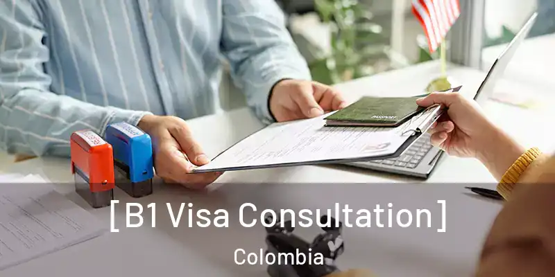  [B1 Visa Consultation] Colombia